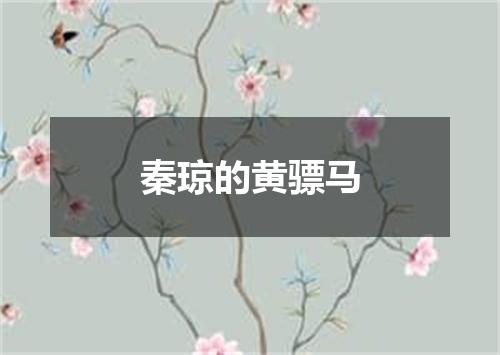 秦琼的黄骠马
