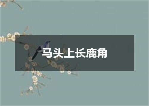 马头上长鹿角