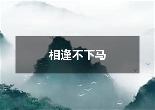 相逢不下马