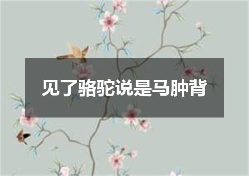 见了骆驼说是马肿背