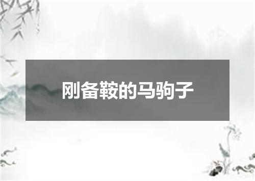 刚备鞍的马驹子