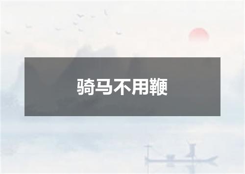 骑马不用鞭