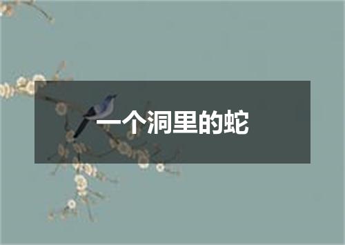 一个洞里的蛇