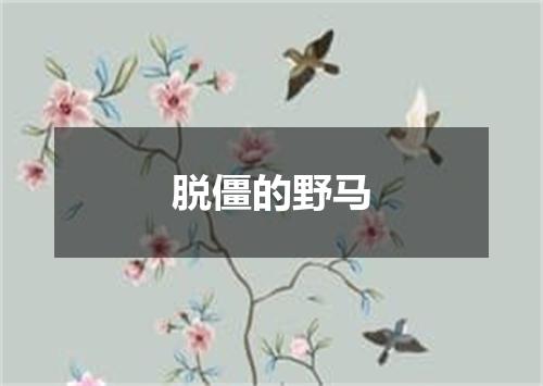 脱僵的野马