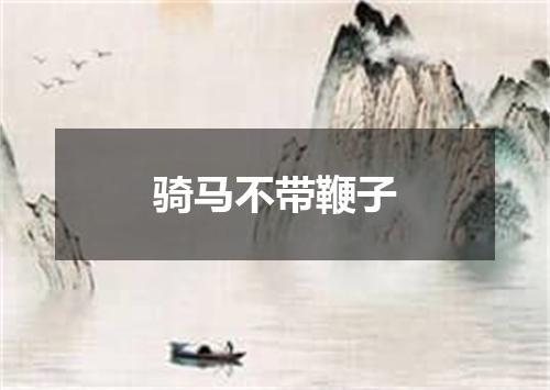 骑马不带鞭子