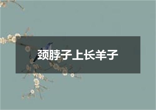 颈脖子上长羊子