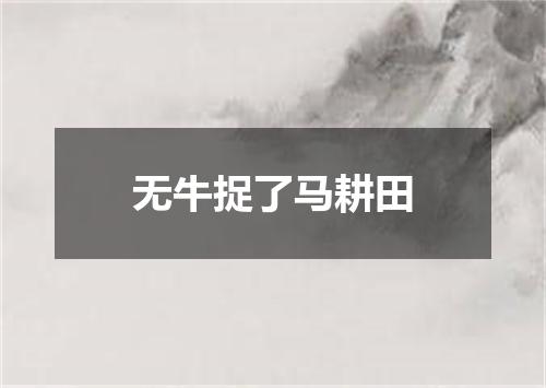 无牛捉了马耕田