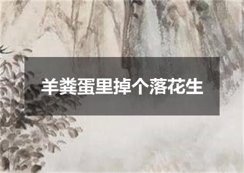羊粪蛋里掉个落花生