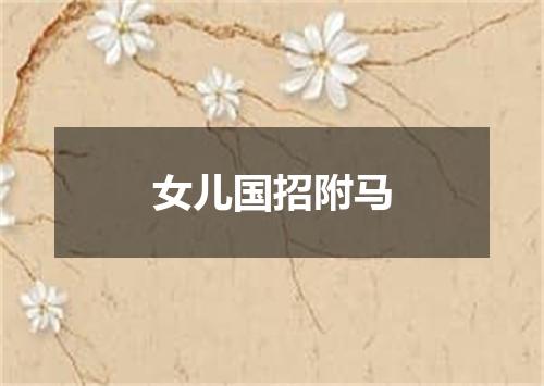 女儿国招附马