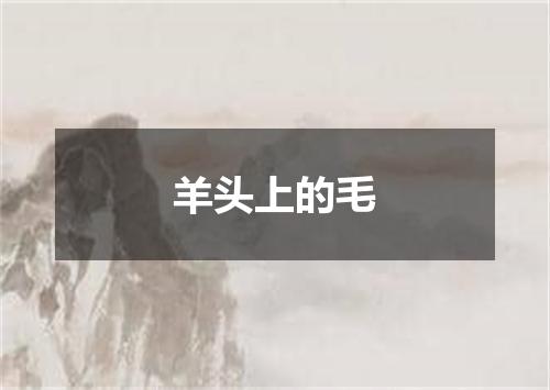 羊头上的毛