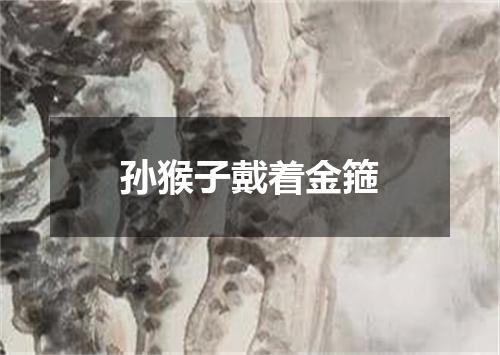 孙猴子戴着金箍