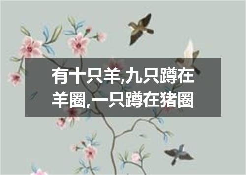 有十只羊,九只蹲在羊圈,一只蹲在猪圈