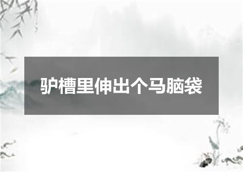 驴槽里伸出个马脑袋