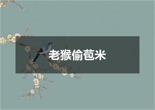 老猴偷苞米