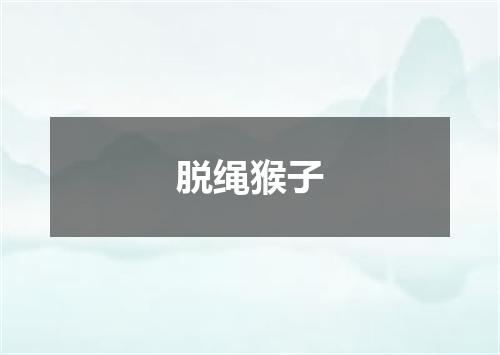 脱绳猴子