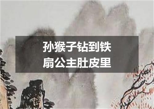 孙猴子钻到铁扇公主肚皮里
