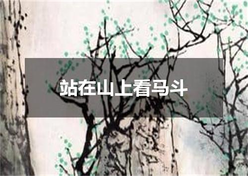 站在山上看马斗