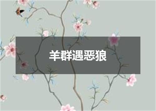 羊群遇恶狼