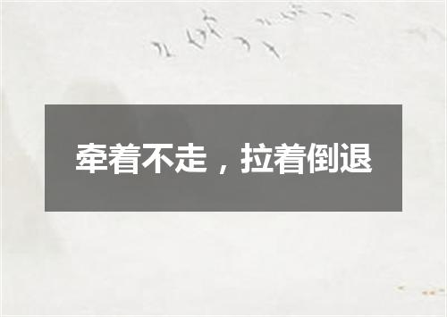 牵着不走，拉着倒退