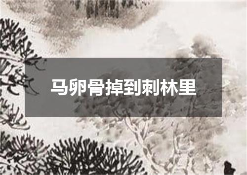 马卵骨掉到刺林里