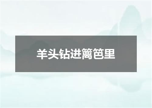 羊头钻进篱笆里