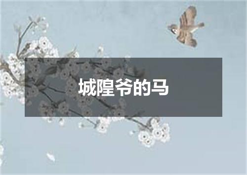 城隍爷的马