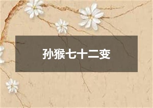 孙猴七十二变