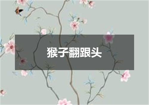 猴子翻跟头
