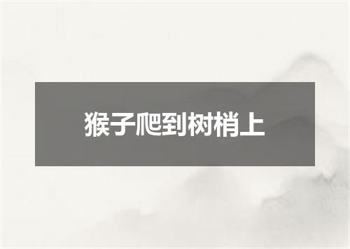 猴子爬到树梢上