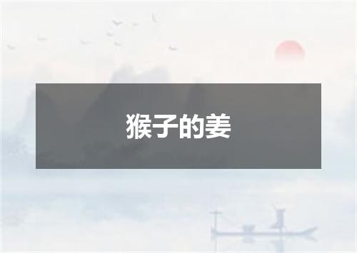 猴子的姜