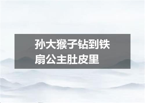 孙大猴子钻到铁扇公主肚皮里