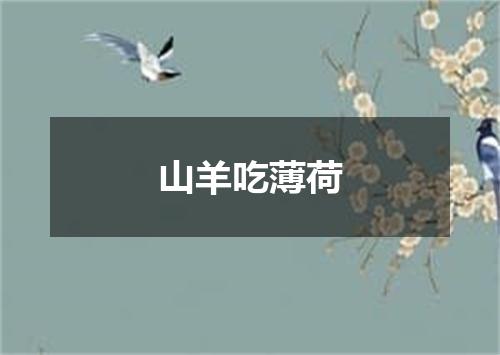 山羊吃薄荷