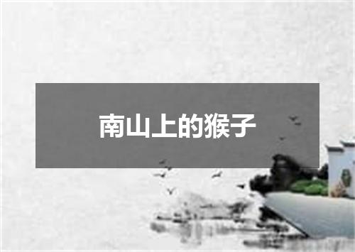 南山上的猴子