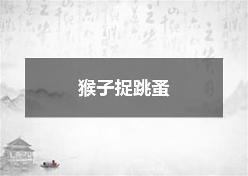 猴子捉跳蚤
