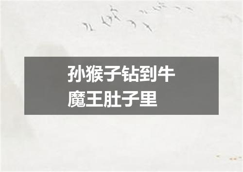 孙猴子钻到牛魔王肚子里