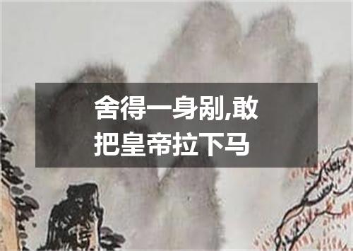 舍得一身剐,敢把皇帝拉下马
