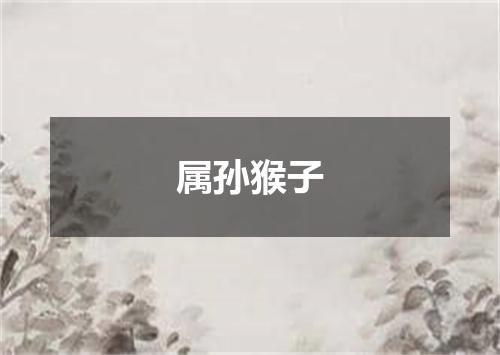 属孙猴子