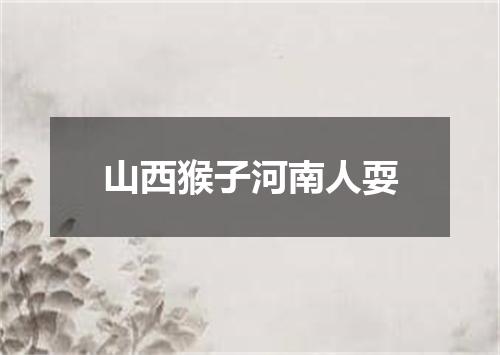 山西猴子河南人耍