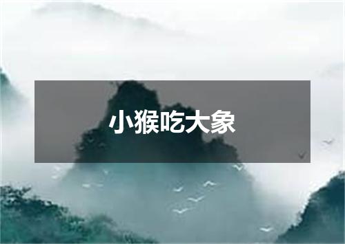 小猴吃大象