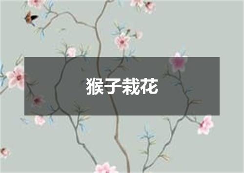 猴子栽花