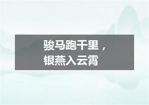 骏马跑千里，银燕入云霄