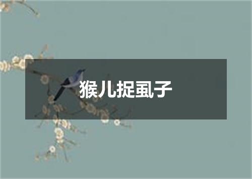 猴儿捉虱子