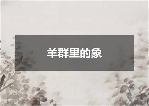 羊群里的象