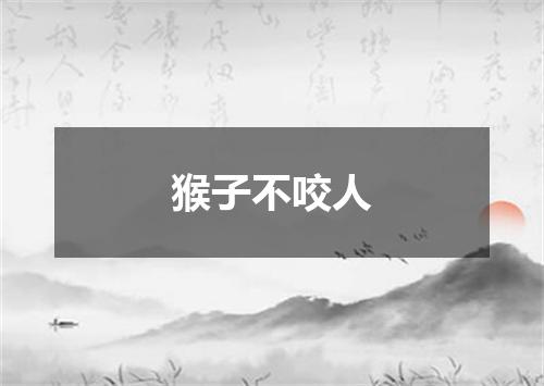 猴子不咬人