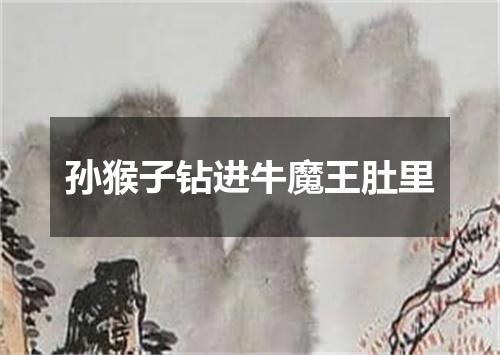 孙猴子钻进牛魔王肚里