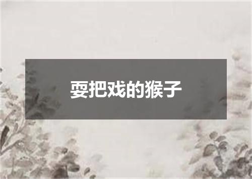 耍把戏的猴子
