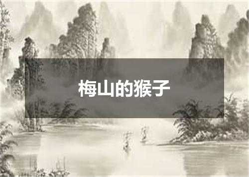 梅山的猴子