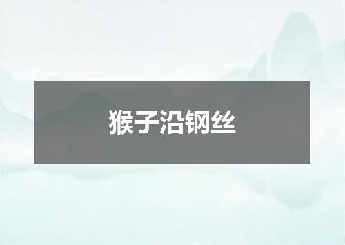 猴子沿钢丝