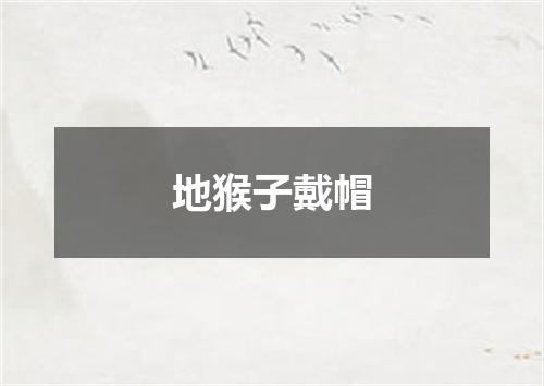 地猴子戴帽