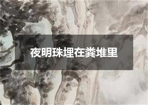 夜明珠埋在粪堆里